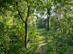 Garden towards table tennis